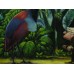 Print painting artwork /Up.movie.Kevin.Carl fredricksen.jungle