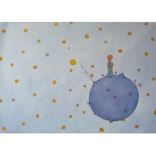 Print painting artwork /movie The Little Prince    Planet 613