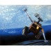 Print painting artwork /movie.WALL-E space/robot