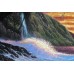 Print painting artwork /landscape Sunset sea seabird/ocean