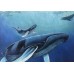 Print painting artwork /Dolphin /Marine /Water Planet/ Earth/moon