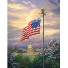 Print painting artwork /American pride