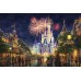 Print Art canvas/Disney Castle/main-street-u-s-a-walt-disney-world/Fireworks/children decor