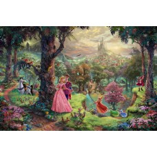 Disney Sleeping Beauty Castle/Magic Kingdom /children decor